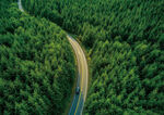 青山公路 碳中和 绿化出行
