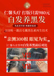 白发养黑