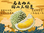 榴莲海报