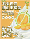 榴莲海报