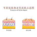 皮肤状态对比