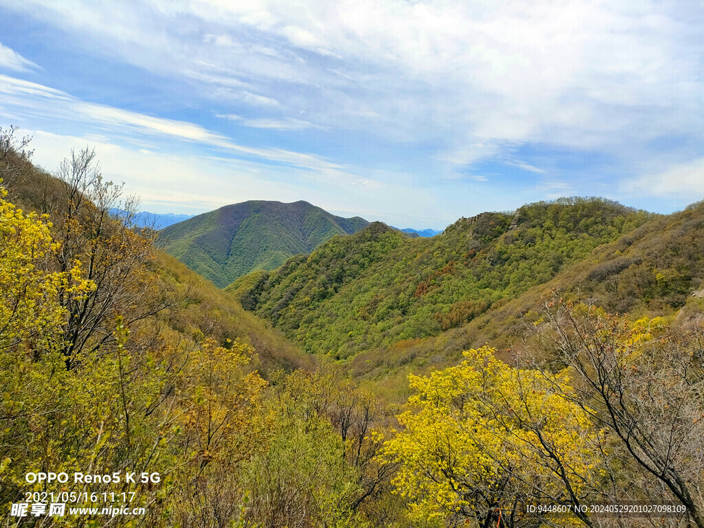 山景