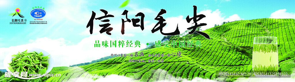 信阳毛尖海报
