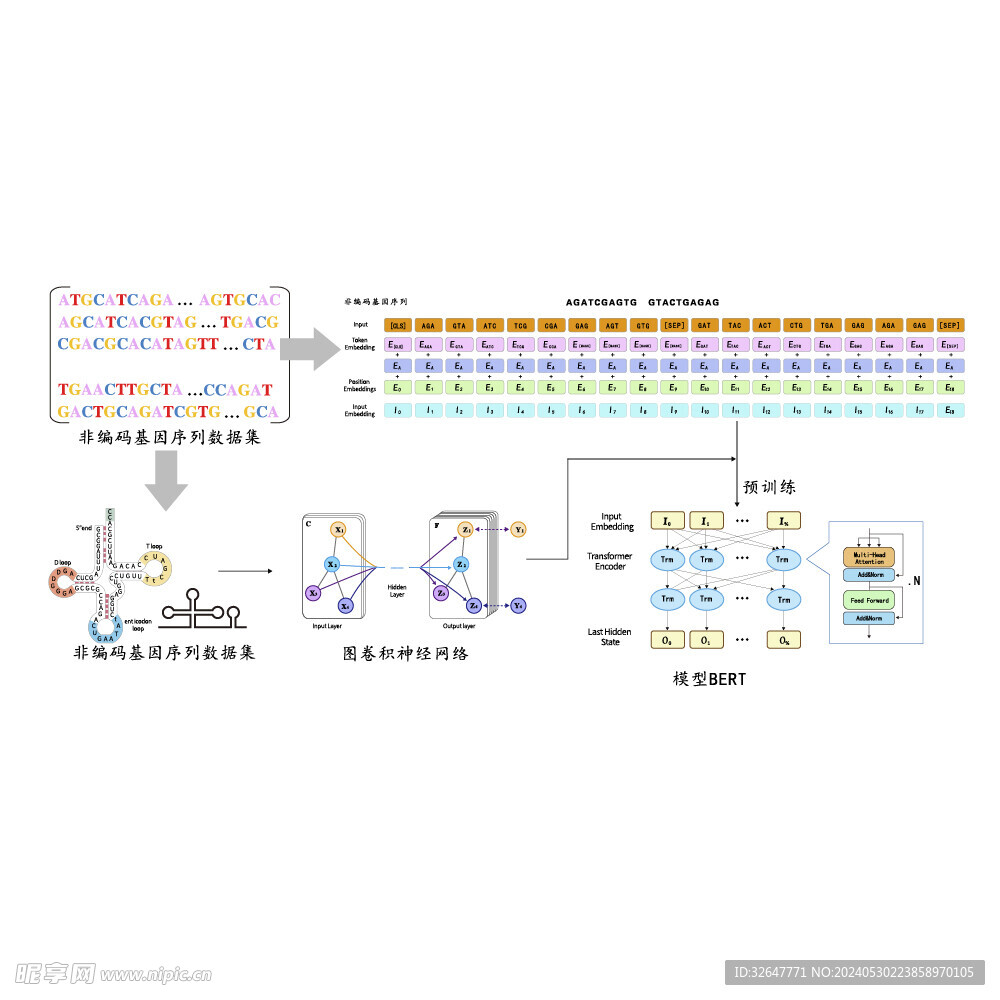 编码基因流程图