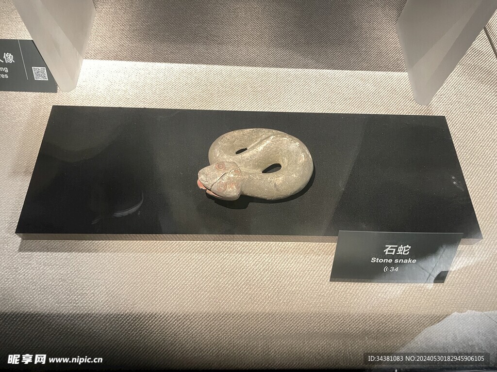 石蛇
