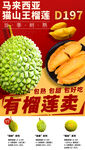 新推广榴莲海报