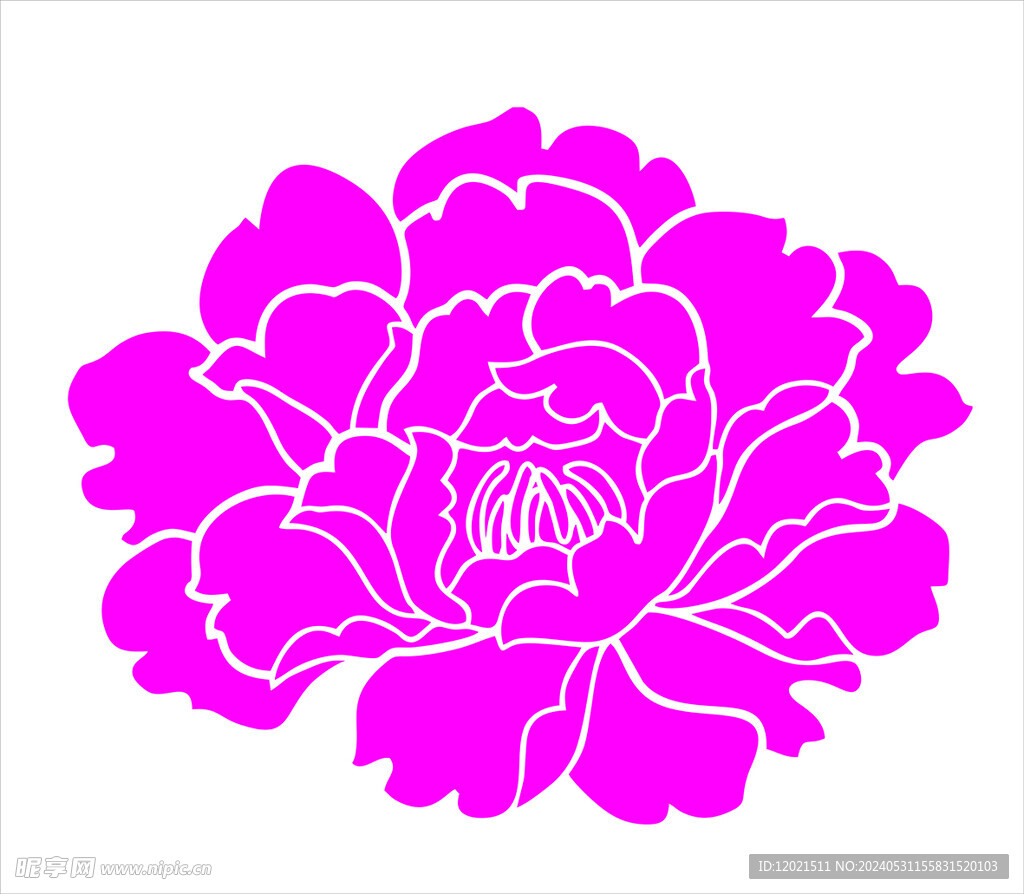 牡丹花矢量图素材