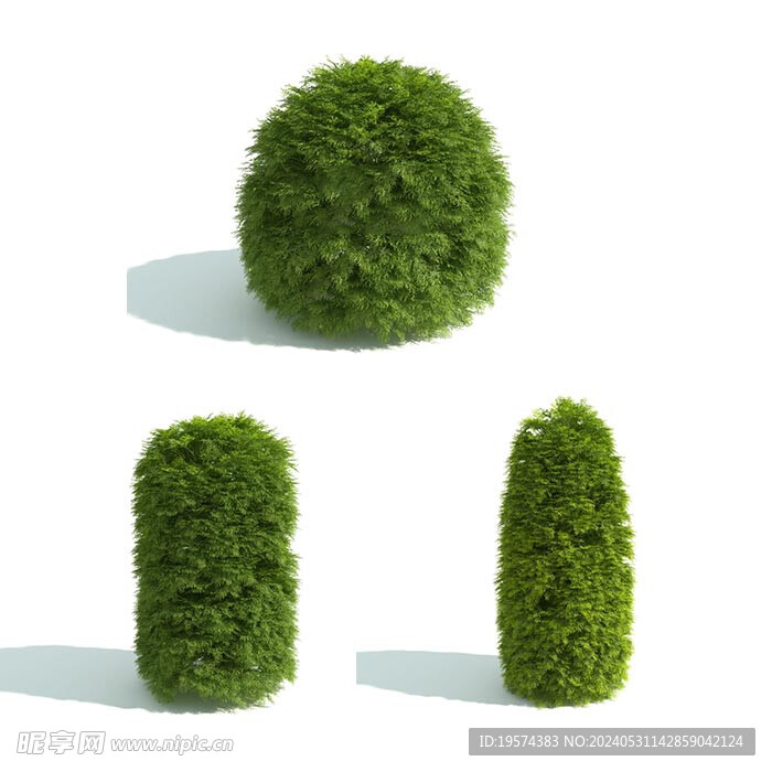  C4D模型 绿色植物