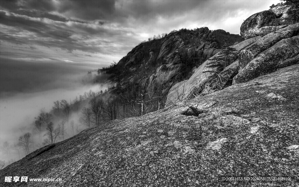 山雾森林黑白摄影