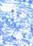 小碎花 大牌花 
