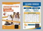 宠物团购优惠海报宣传