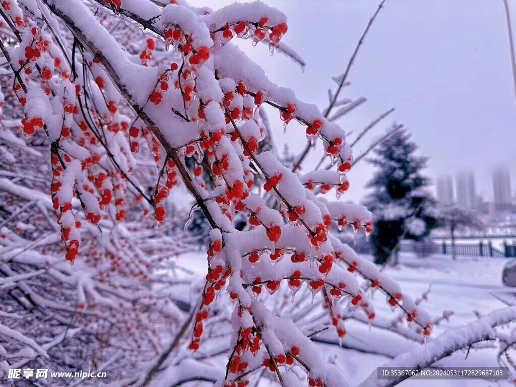 雪景