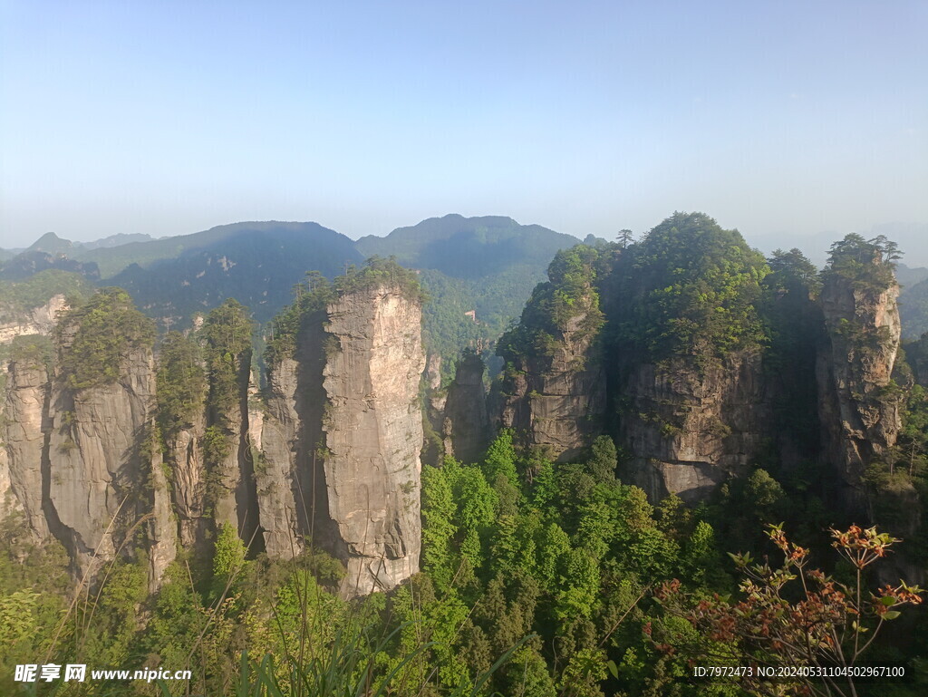 峰林