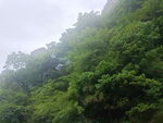 碧峰