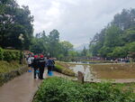 乡村