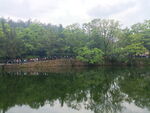 水岸景观