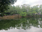 湿地公园