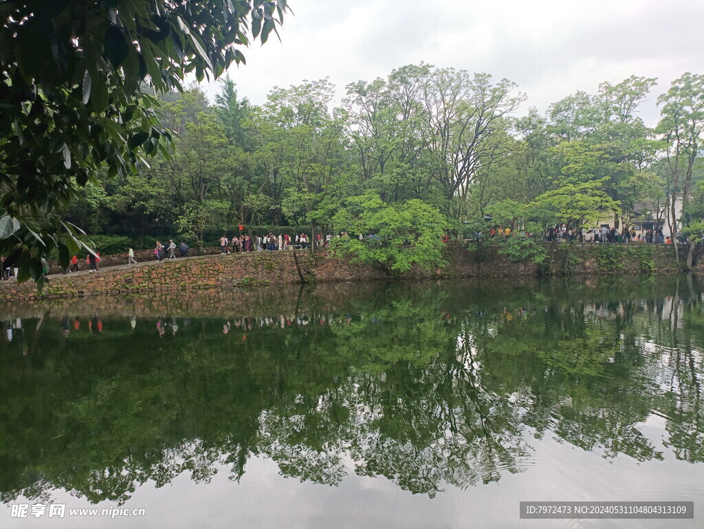 湿地公园