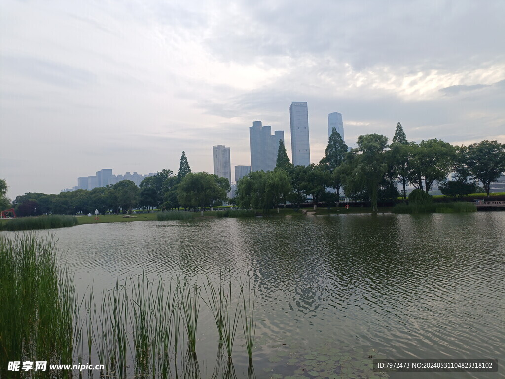 城市风景