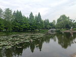 湿地公园