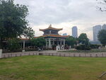 城市丽影