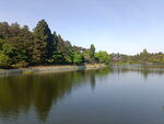湖景