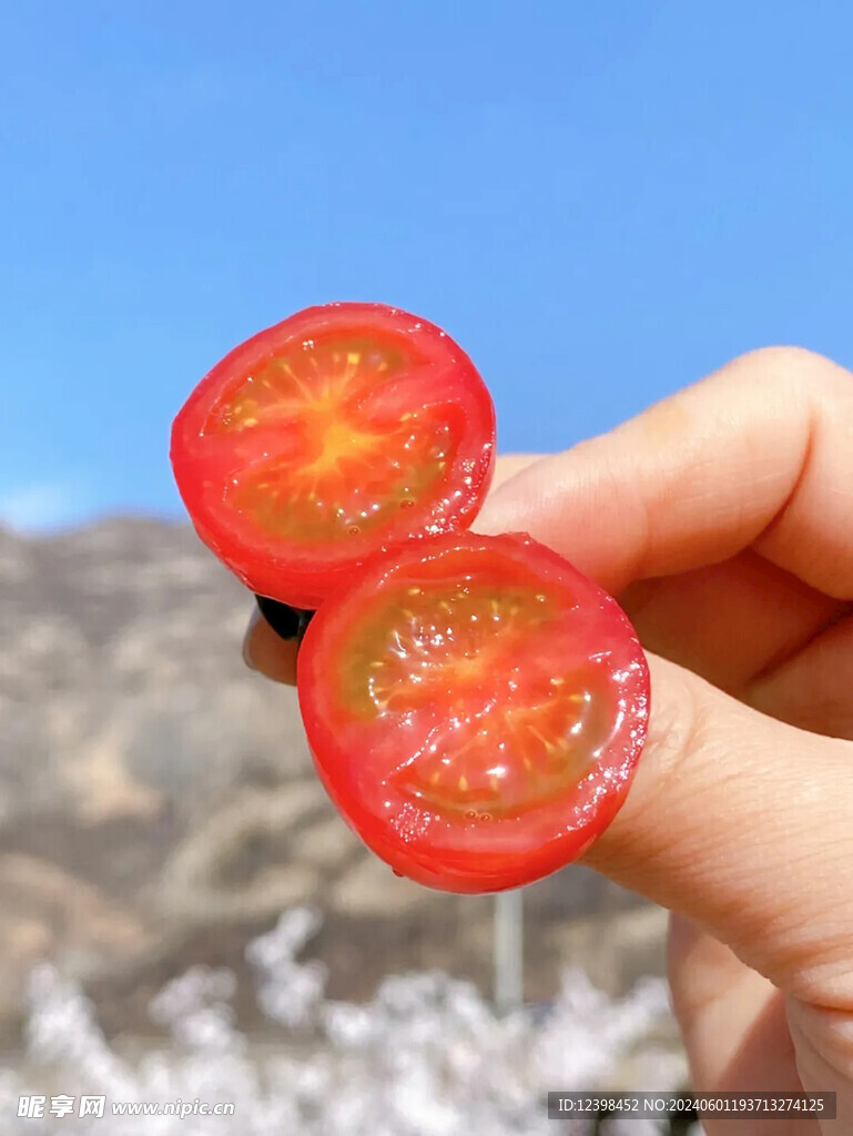小番茄
