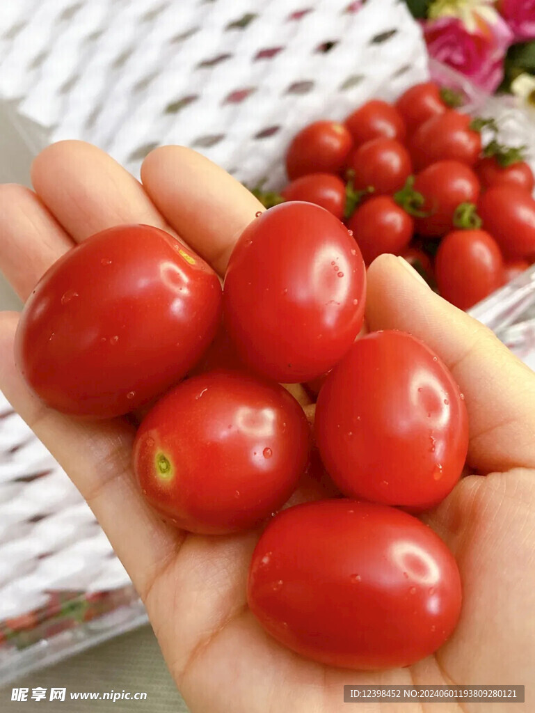 水果番茄