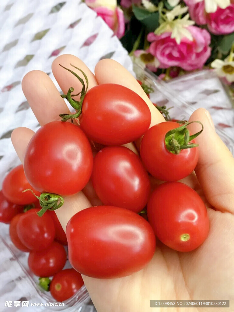小番茄