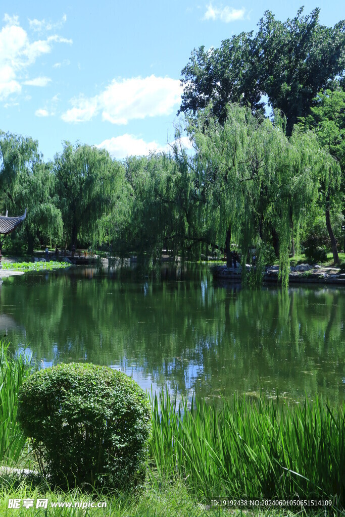 公园风景 