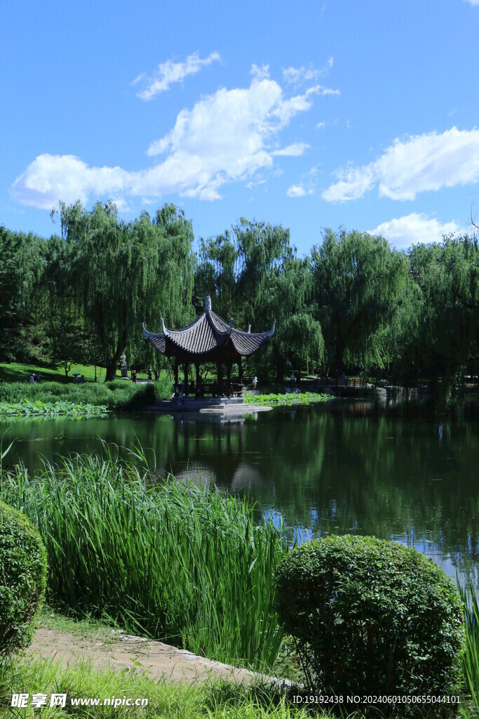 公园风景  