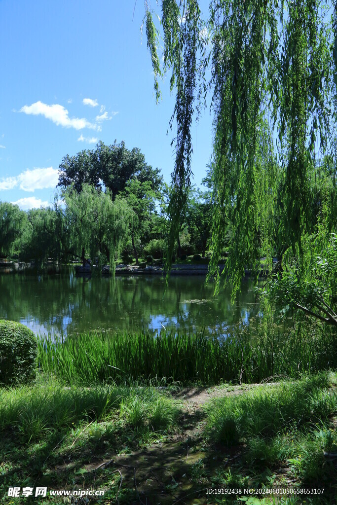 公园风景 