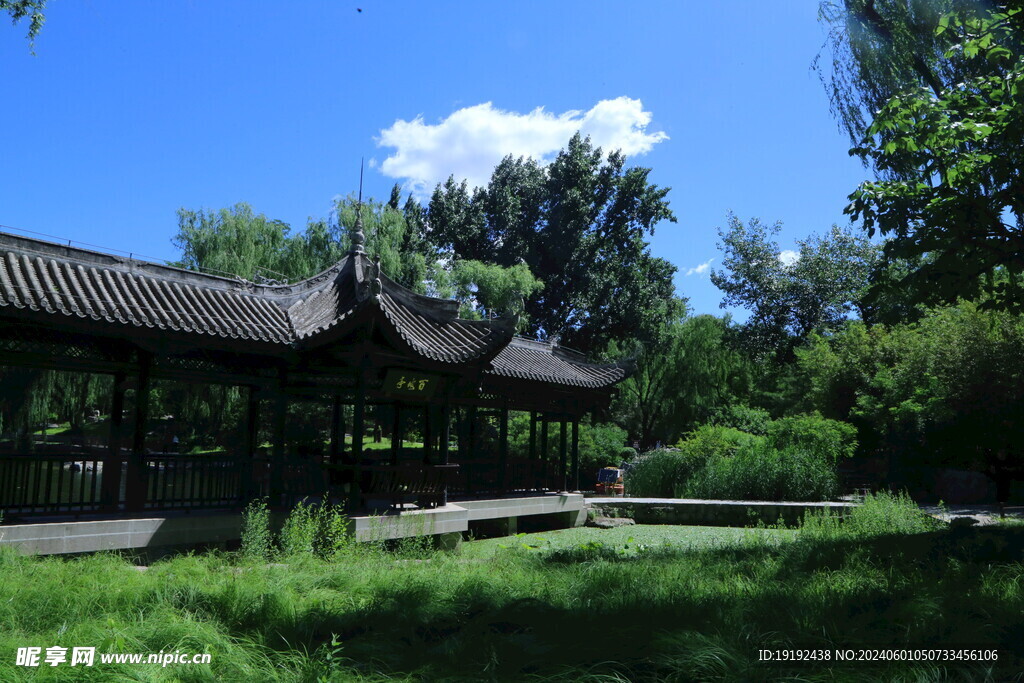 公园风景  