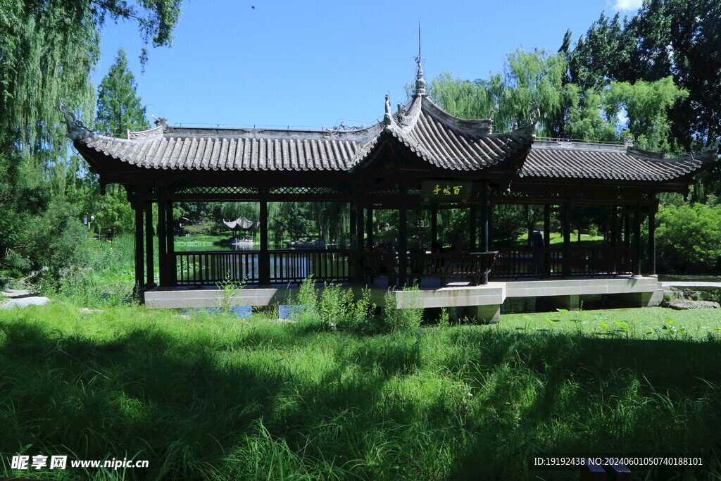 公园风景  