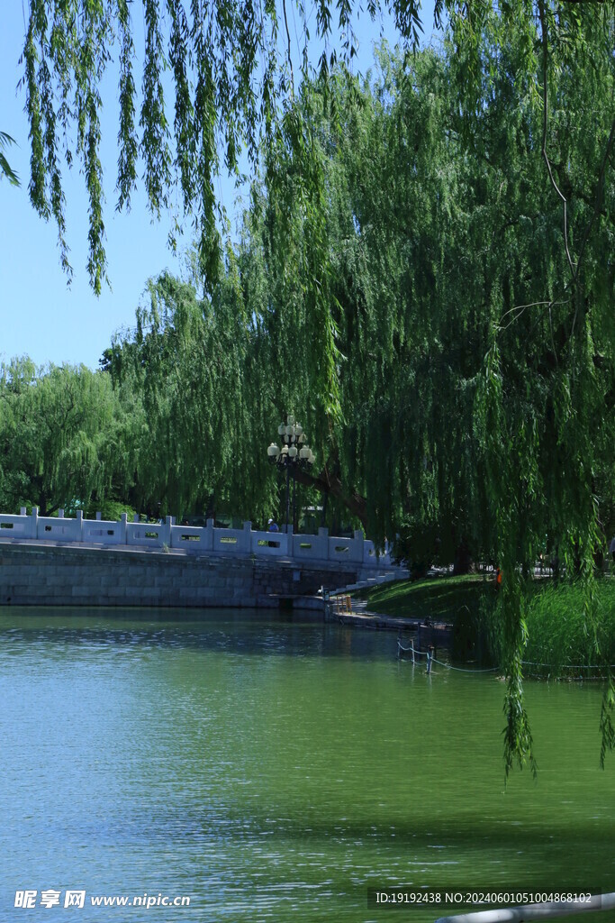 公园风景   