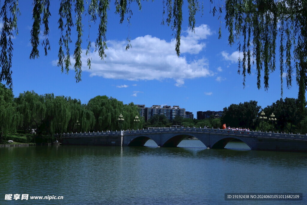 公园风景   