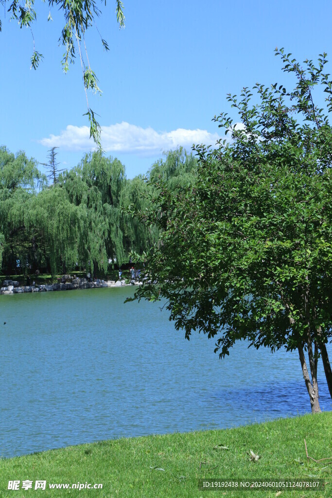公园风景  