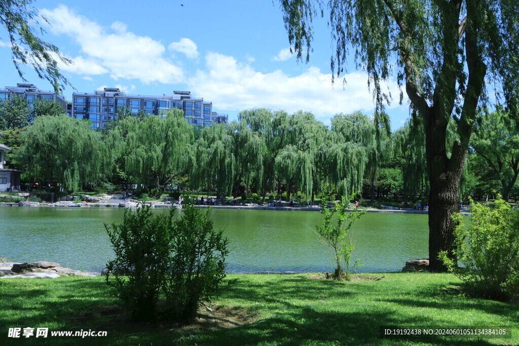 陶然亭风景 