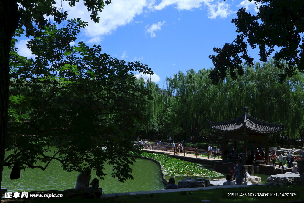 陶然亭风景  