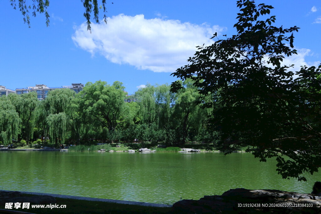 陶然亭风景 