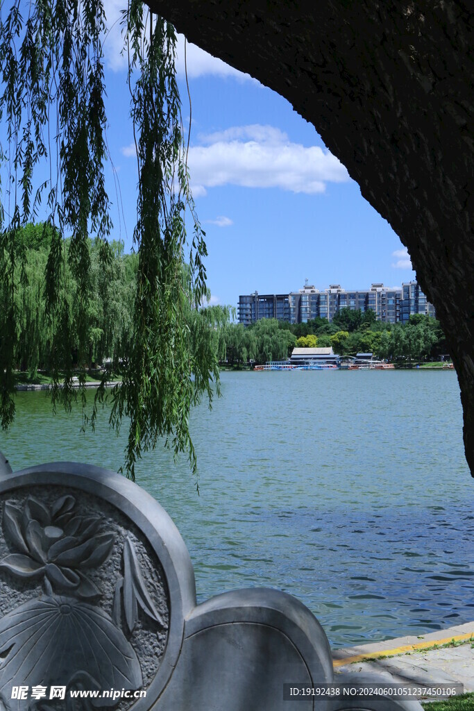 公园风景 