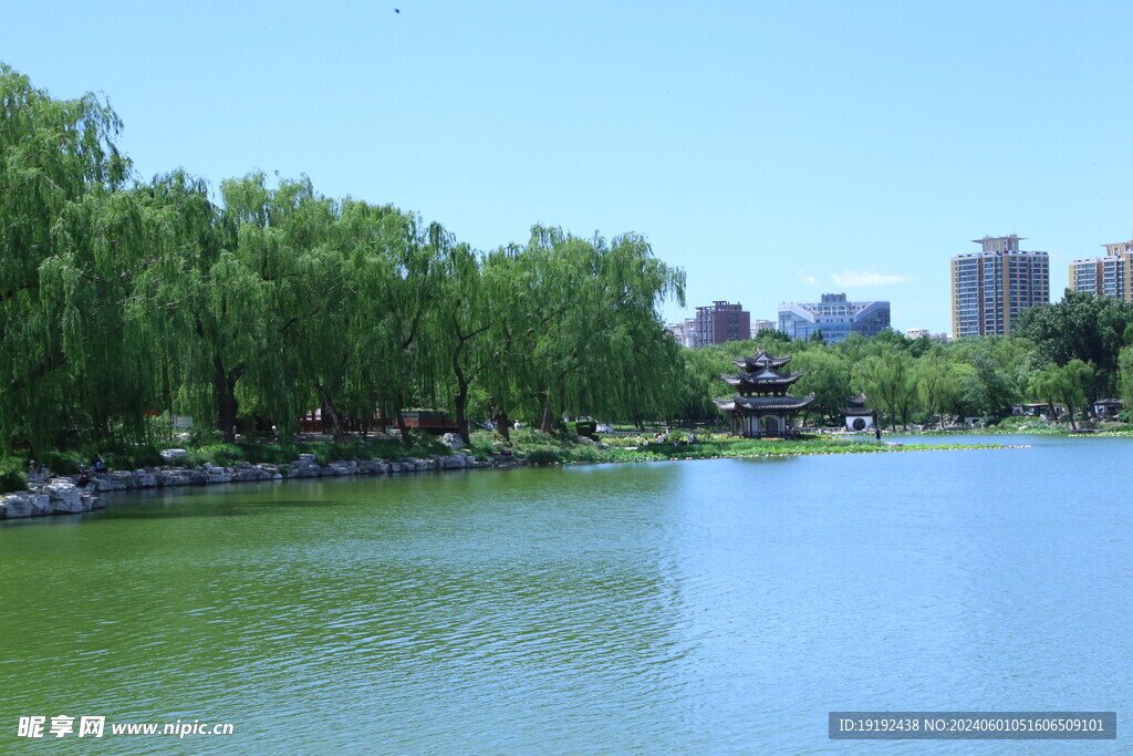 公园风景  