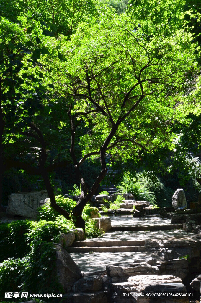 公园风景  