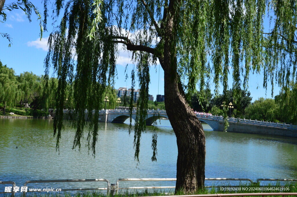 湖水风景  