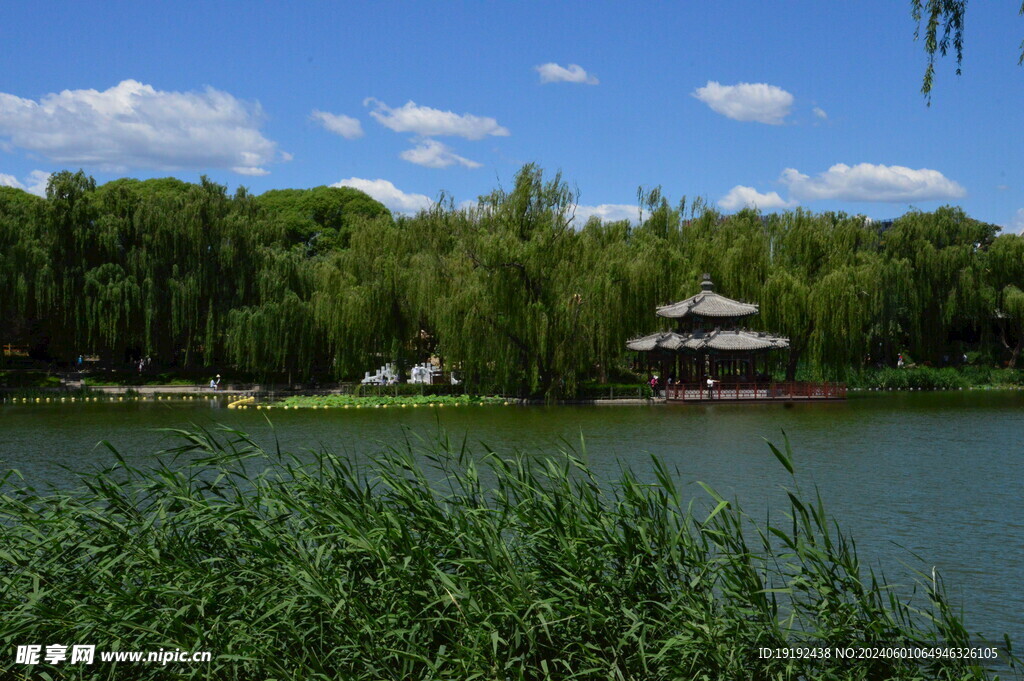 陶然亭风景  