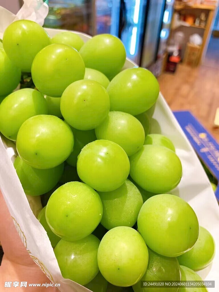 阳光玫瑰