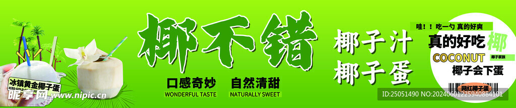 椰子  椰壳