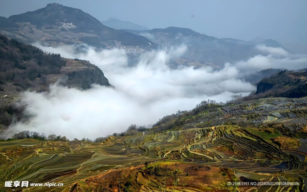梯田 