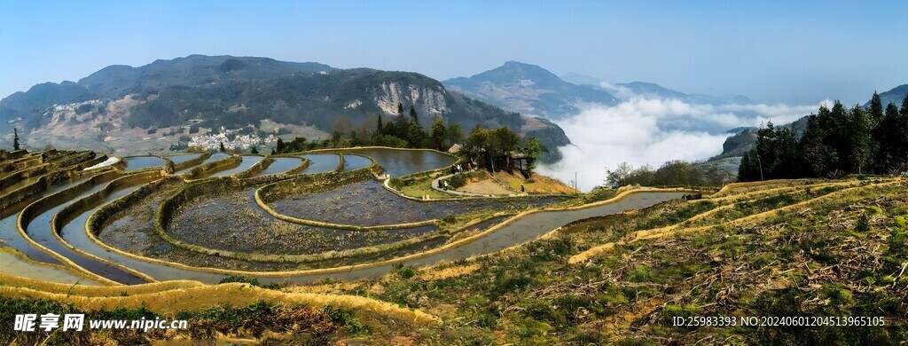 梯田 