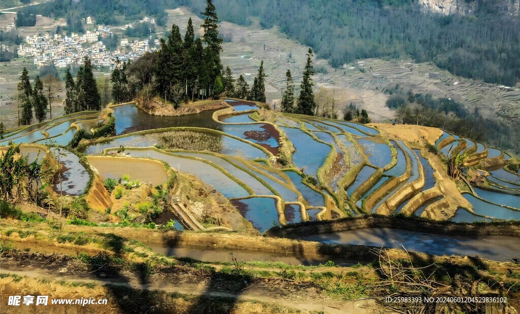 梯田 